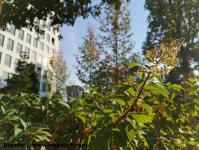 Imagine atasata: Openville - 2018.10.13 - 04.jpg